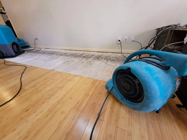 Professional Water Damage Repair technician working in Chester, MD
